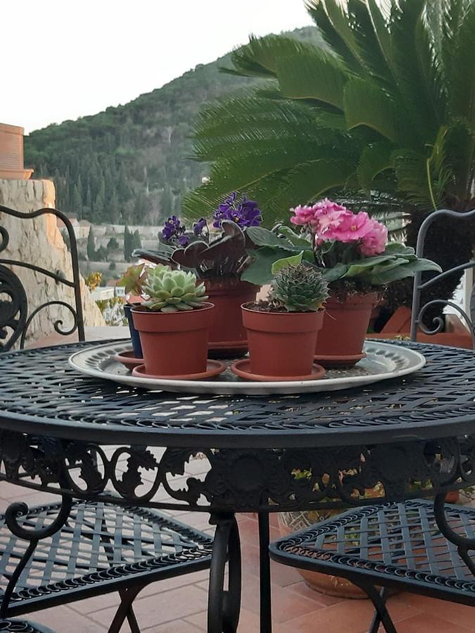 Luxury Sea View Apartments Dubrovnik Exterior foto
